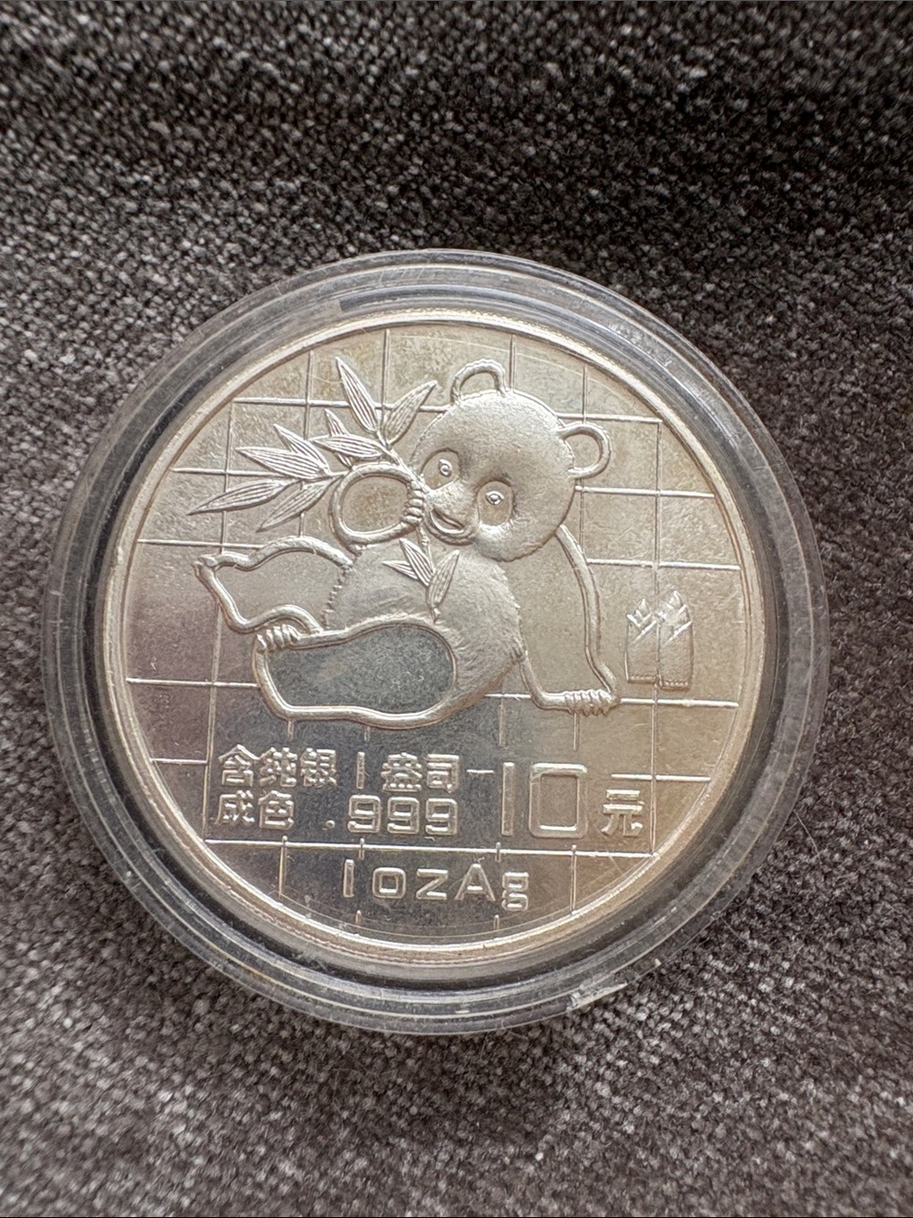 1989 99.9 Silver Panda Coin